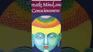 Conscious Vs Unconscious Mind With K Your Support My Strength