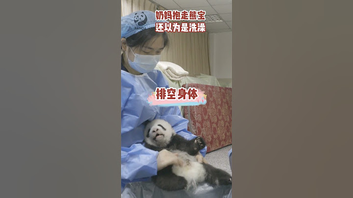 我竟然在为大熊猫洗不洗澡这件事发愁？#熊猫基地看熊猫  #熊猫  #来这吸熊猫 - 天天要闻