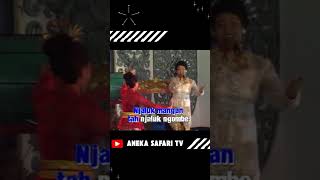 Download Lagu Jaran Ucul #supinah #jaranucul #anekasafaritv #shortvideo #lagunostalgia #kendangkempul #music MP3