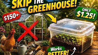 Don't Build A Greenhouse Until You See These 10 Dollar Tree Hacks(They Actually Work)