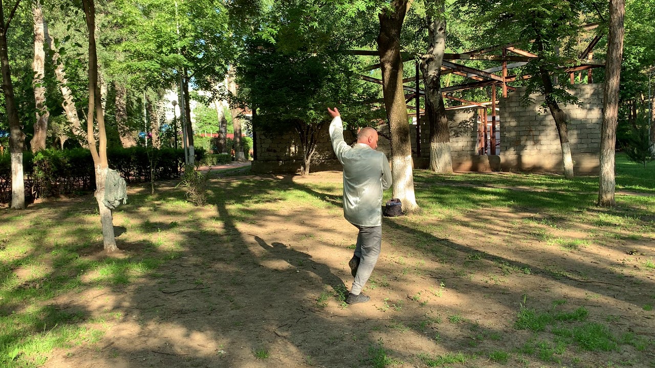 CHEN STILE TAIJI QUAN (LAO JIA I LU) ZUNGU TAIJI