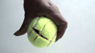 HOMEMADE DOG KONG TOY