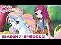 Winx Club FULL EPISODE It S A Crazy Crazy World Season 7 Episode 21