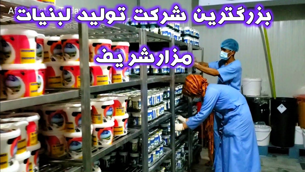 گزارش از بزرگترین شرکت تولیدی لبنیات در مزارشریف