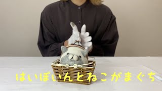 【作品紹介】はいぽいんとねこがまぐち（がまぐち）