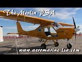 Merlin psa single seat experimental sport aircraft from aeromarine lsa