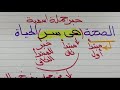متى يكون المبتدأ مبتدأ أول ومتى يكون مبتدأ بس من غير أول للصف السادس مس مها سعيد