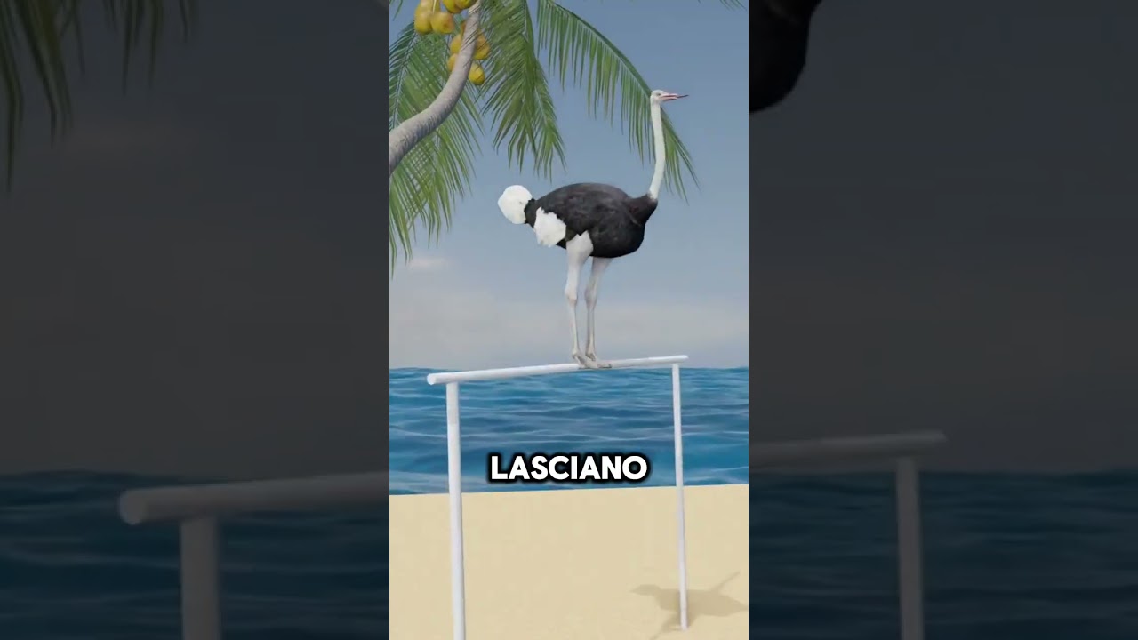 LA TECNICA INCREDIBILE PER RACCOGLIERE LE UOVA DI STRUZZO!