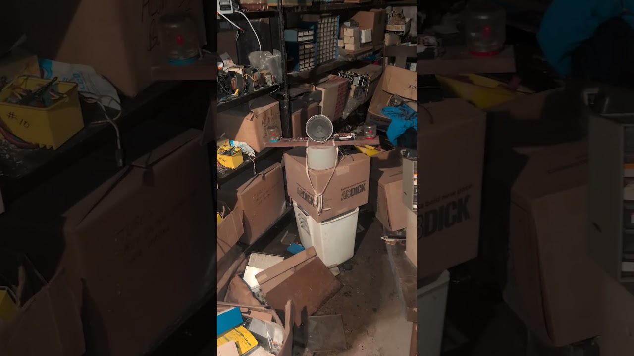 You won't believe what I found in an old cellar