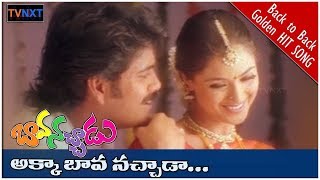 Bava Nachadu Telugu Movie Songs Akka Bava Nachada Song Nagarjuna, Simran, Reema Sen Tvnxt