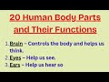 20 Human Body Parts and Their Functions | Human Body Parts for Students | Science Learning