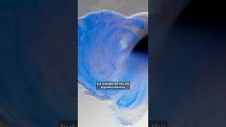 Winsor & Newton Granulation Medium | Create Textured Watercolor Effects