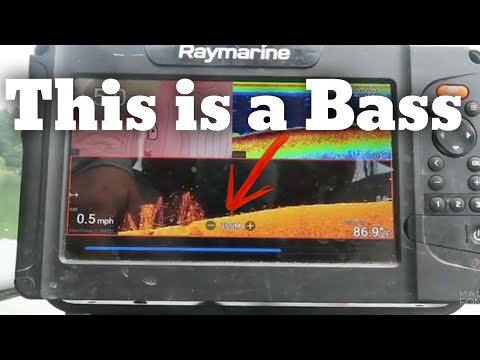 See Bass, Catch Bass - Bass Fishing - How to Read a Fishfinder