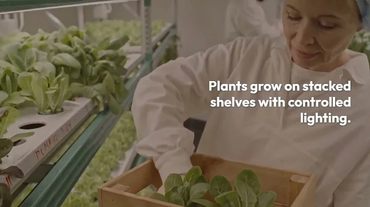 Discover the secrets of Vertical Farming innovation