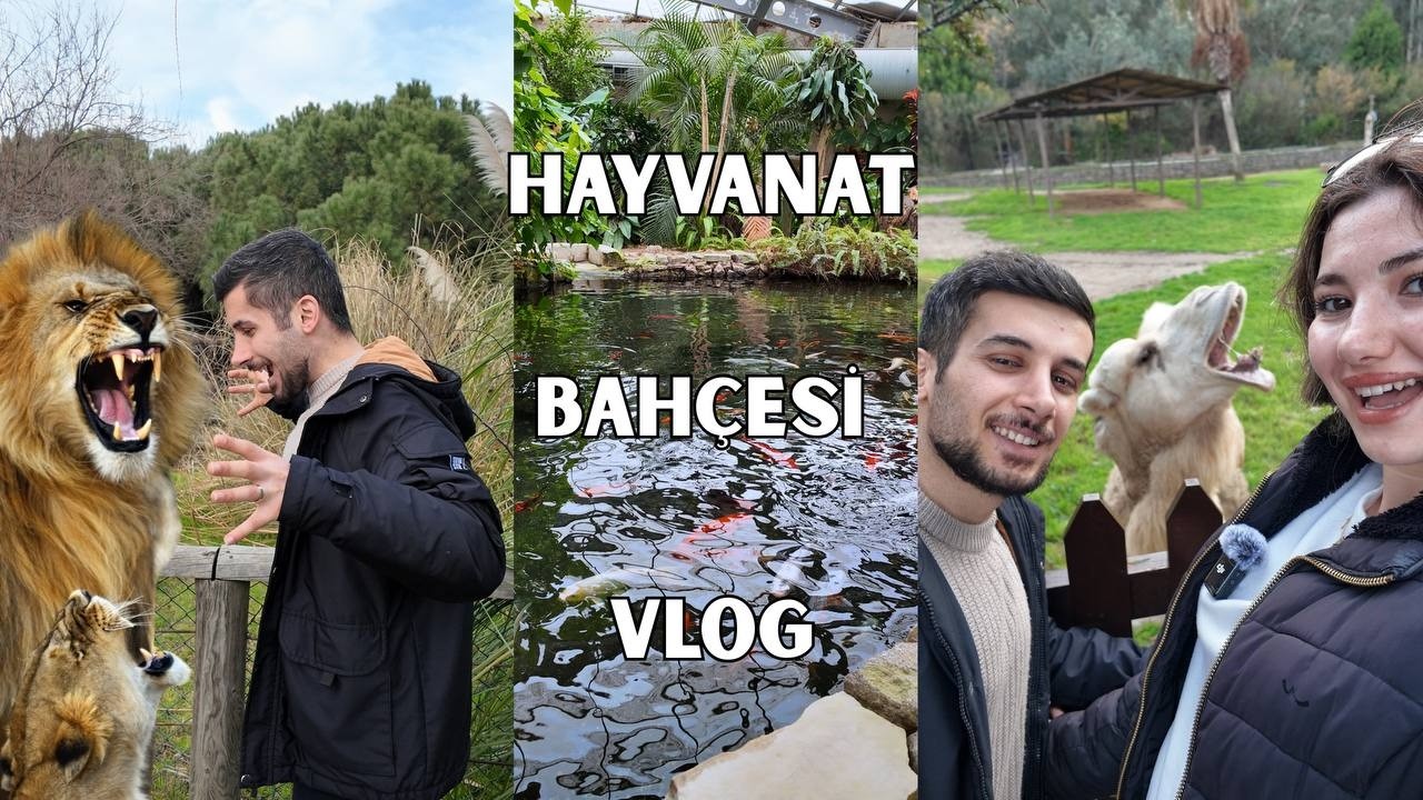 Hayvanat Bahçesi Vlog | Zürafayla Mesafeyi Biraz Fazla Kaçırdık...