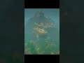 Relaxing Minecraft Rain for Sleep #minecraft  #minecraftshorts #mincraftsleep
