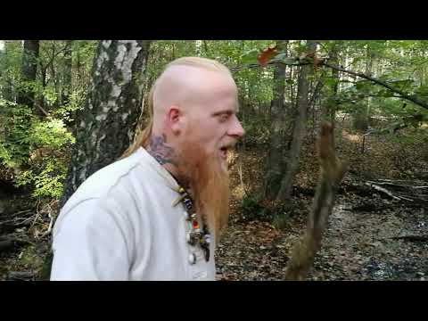 Halbårox Bajarae -