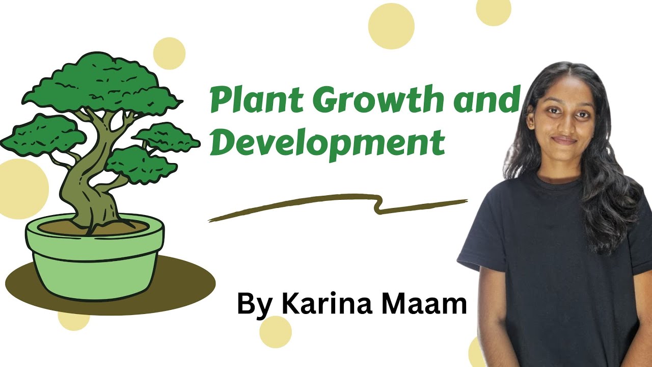 Plant Growth and Development 🌿 | NEET Biology | Karina Ma’am#PlantGrowthAndDevelopment