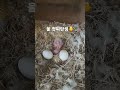 2024년 8월 22일