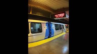9-car Galore on the Yellow Line