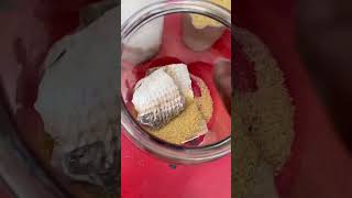 Stop wasting money | Make your own fertilizer