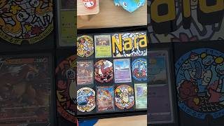 Day 17 Nara Pokelids