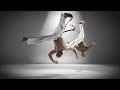 Video: TV-SPOT CAPOEIRA FÜR SAMSUNG AG