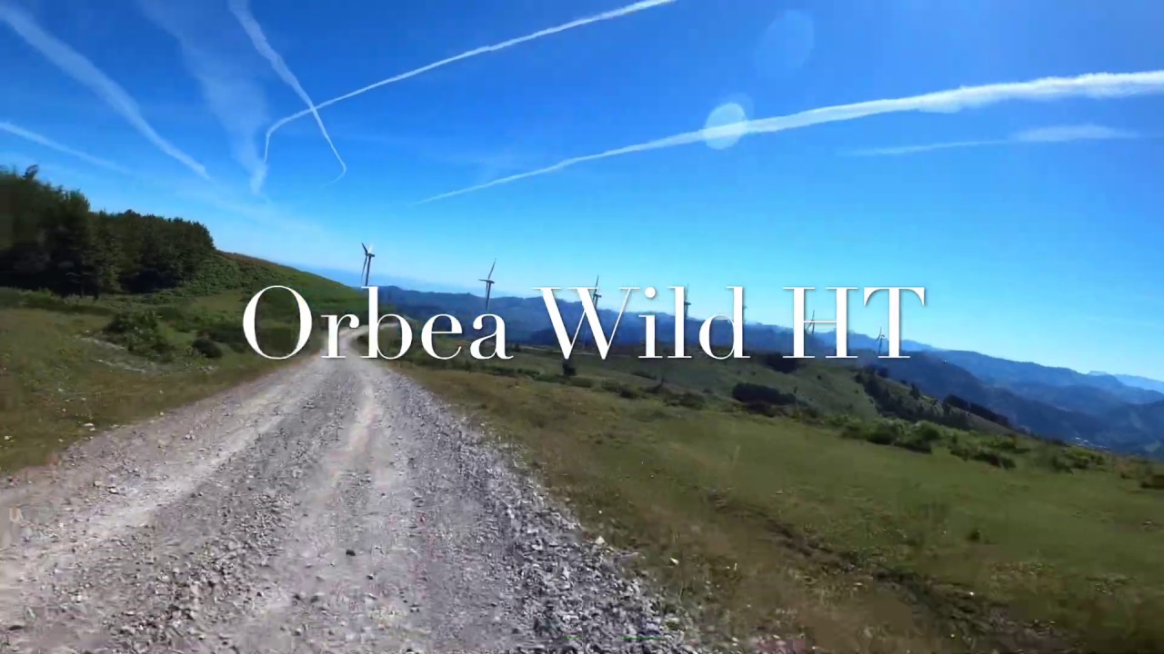 Orbea Wild HT 2020