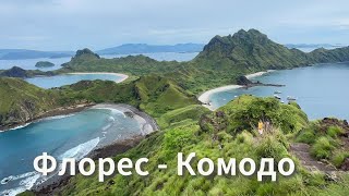 Комодські дракони, острови Флорес і Падар | Індонезія