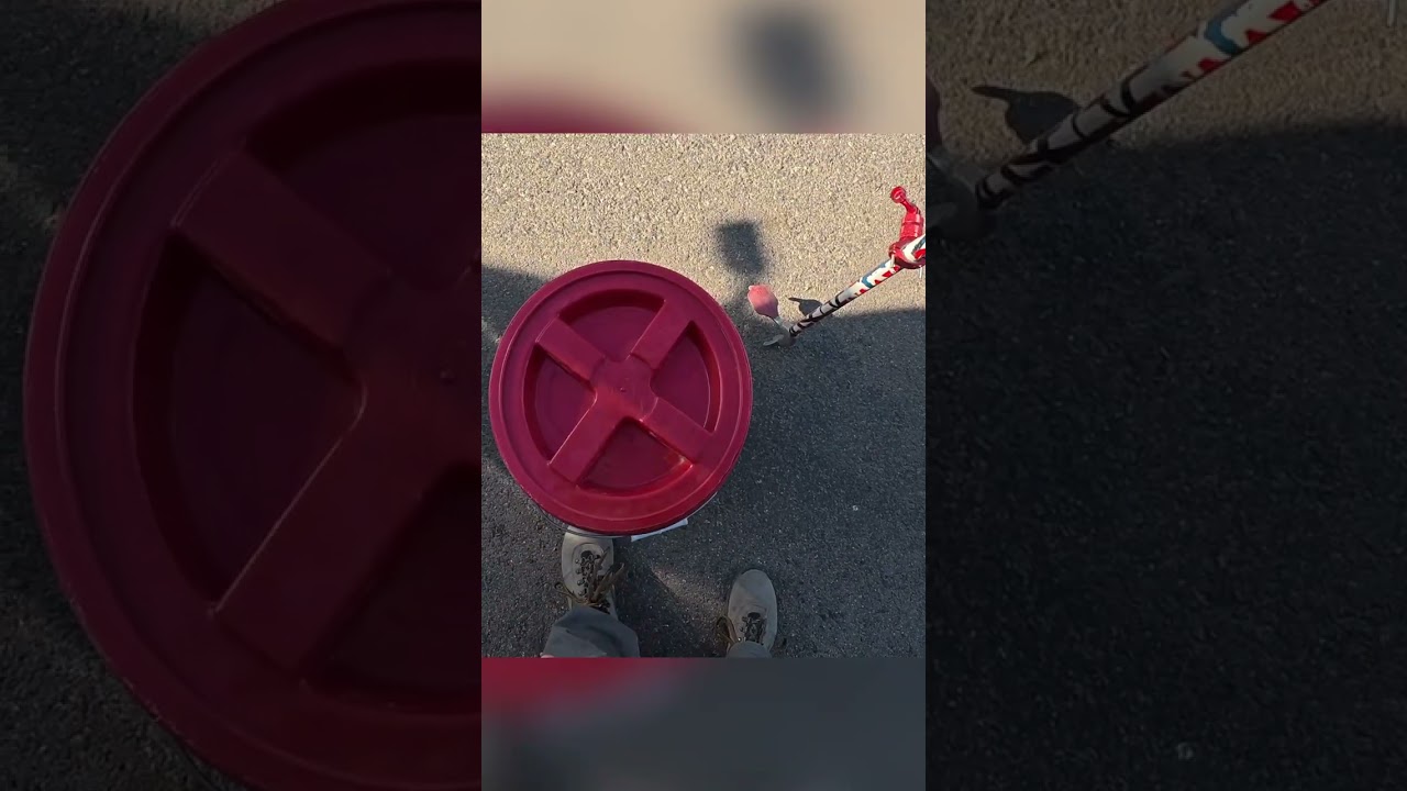 Rattlesnake in a Storage Unit Freaks Out