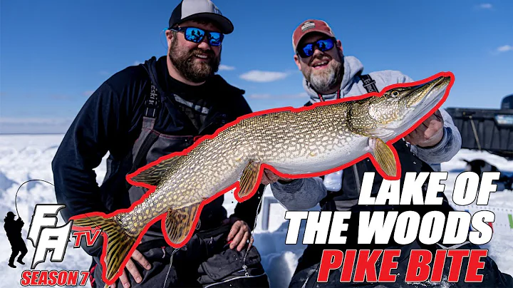Lake of the Woods Late Ice Northern Pike Bite!