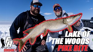 Lake of the Woods Late Ice Northern Pike Bite!