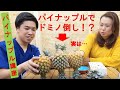 【意外と知らないパイナップルの保存方法】フルーツボーイが伝授！！