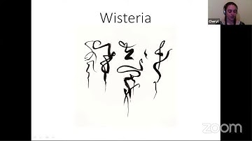 Cheryl Bowman - Techniques for Script Development #dLCC #LCC9