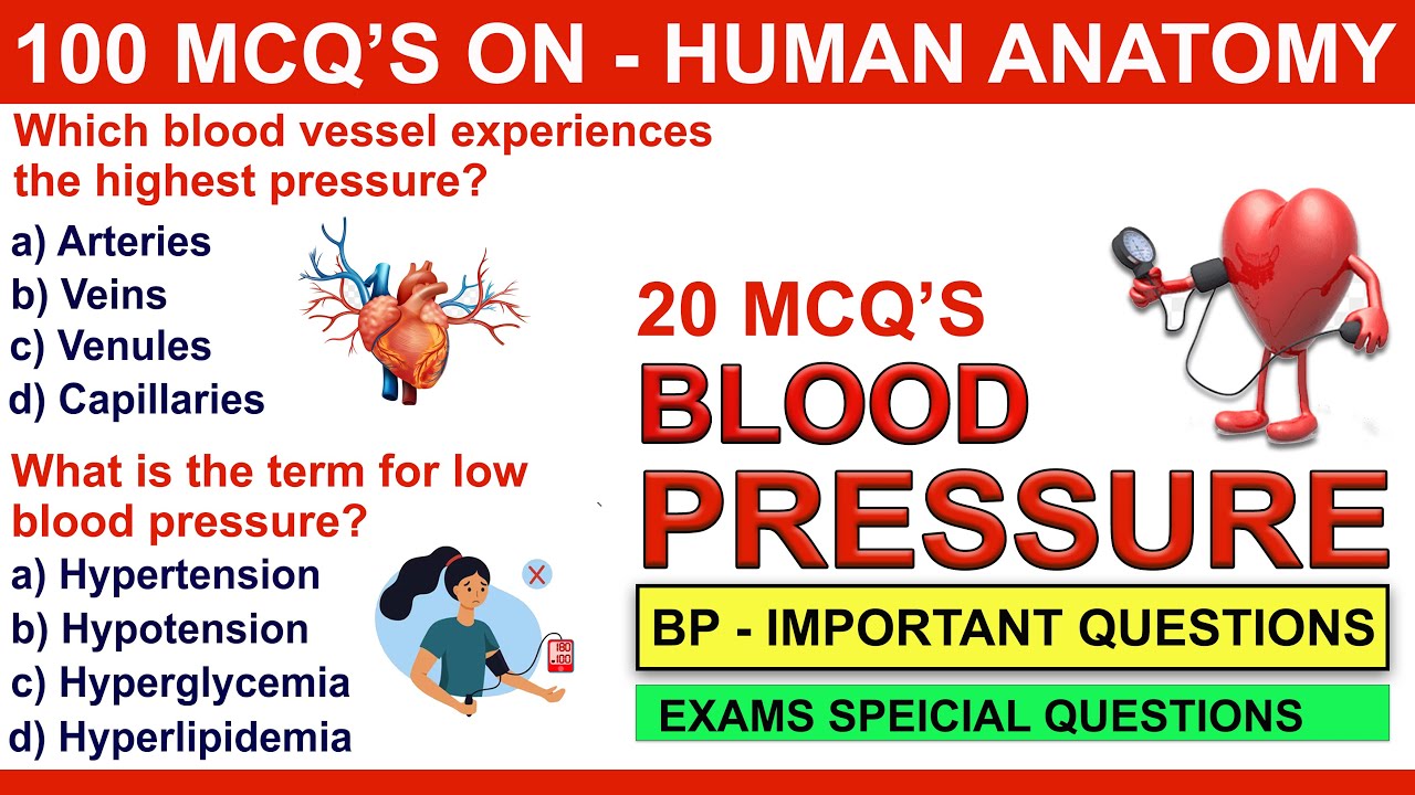 20 blood pressure mcqs question and answers circulatory system mcq for neet blood mcqs mcqs