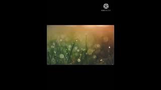 Top-topan ~ via valen (lirik lagu)                #trending #viavallen #fyp