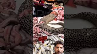 Grilled Eel Fish Cutting &amp; Cooking | Fresh Eel Preparation at Fisher Restaurant Style Seafood