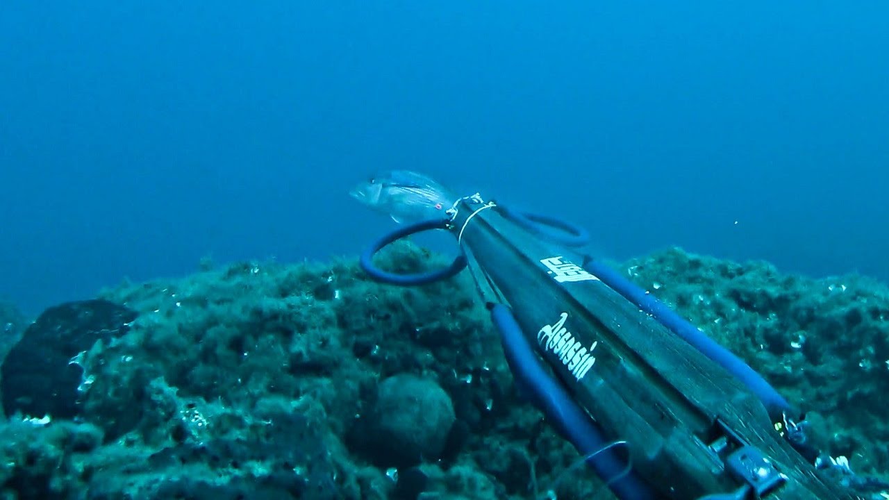 Ridiculous Shots Spearfishing Samos island