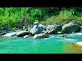 Relaxing Music with Water Sound – River Melodies for Peaceful Sleep