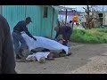 justice claims three lives