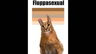Floppa sexual