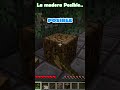 NO PODEMOS TOCAR LA NETHERITE EN MINECRAFT