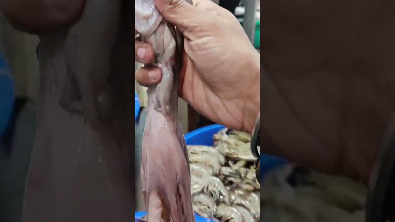 INA MARKET DELHI HAAT || Bhukhad Foj 