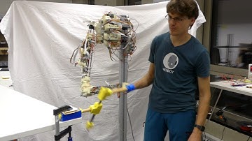 Playful Machines - Elastic tendon driven arm explores itself and its environment