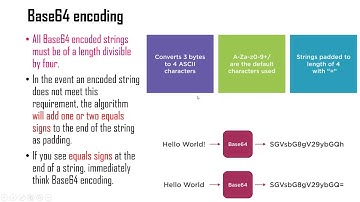 Static Analysis - String Analysis - Module-2 Encoded String Analysis in malware file