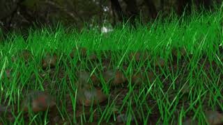Grass Animation in Blender 2.93 Using Geometry Nodes