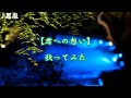 嵐 【君への想い】 歌ってみた