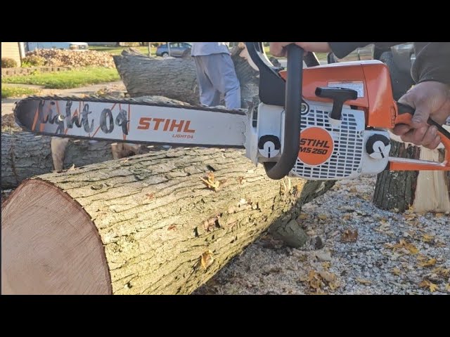 MS 250, High-Performance Compact Chainsaw