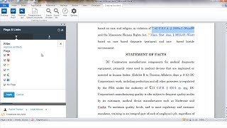 Flags and Links in Drafting Assistant