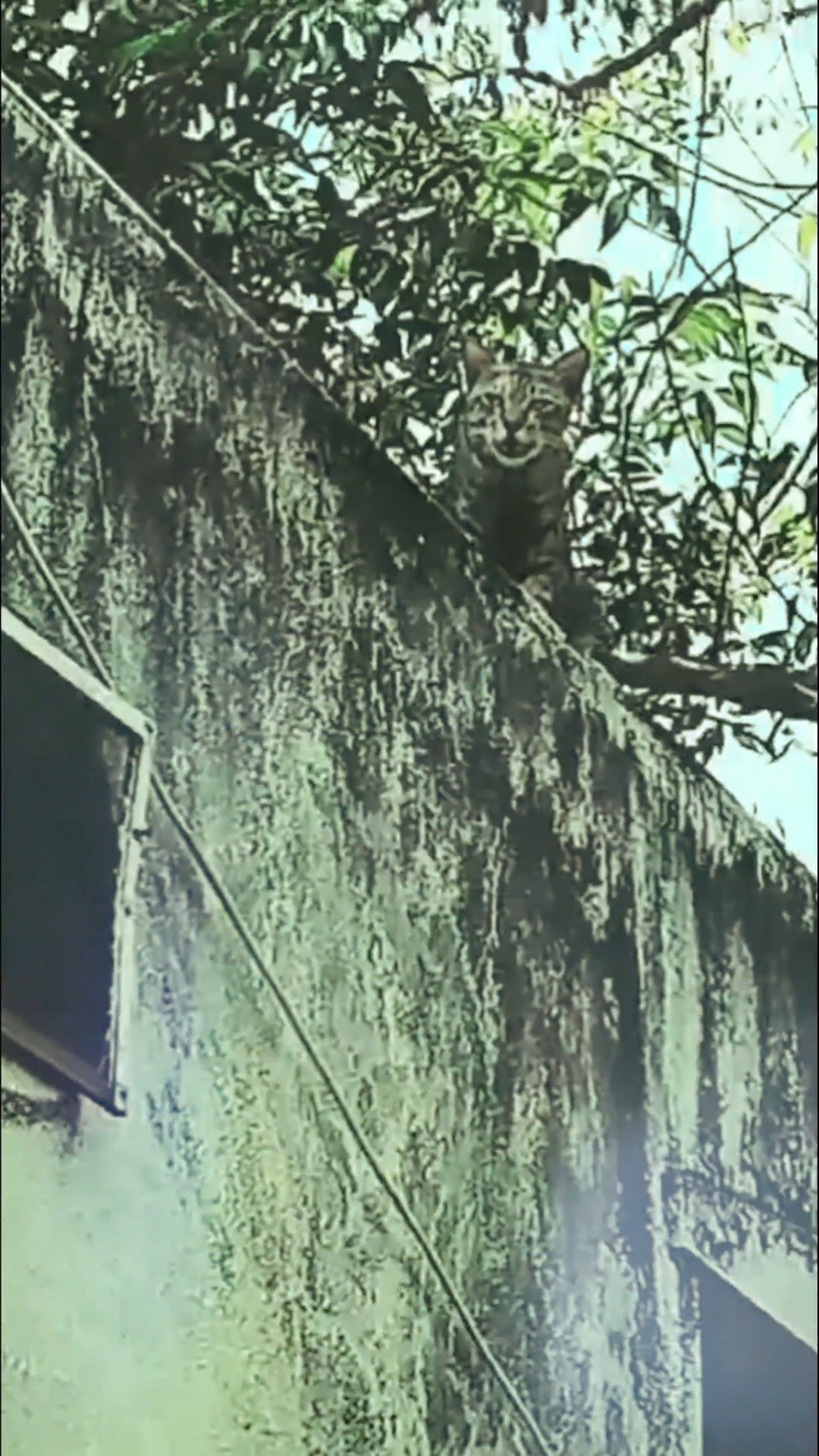 🎬 சினிமா - ShareChat